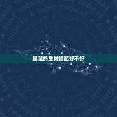 属鼠的生肖婚配好不好，属鼠的属相婚配表，属鼠和什么属相最配