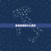 属老鼠婚配什么更好，生肖年份对照表