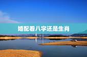 婚配看八字还是生肖，请问懂命理的大师，合婚是看属相还是属命？
