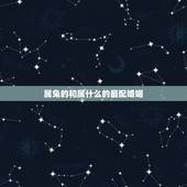 属兔的和属什么的最配婚姻，属兔的和什么属相配婚姻更好