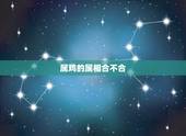 属鸡的属相合不合，属鸡和哪些生肖相合。