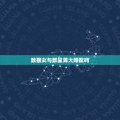 数猴女与数鼠男大婚配吗，属鼠的男的和属猴的女的配吗