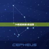 74年虎未来5年运势 2022年之后属虎人命运如何