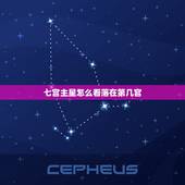 七宫主星怎么看落在第几宫，如何看7宫宫头落在哪个星座 从星盘上