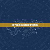 狮子座男与水瓶座女婚配吗，狮子座男与水瓶座女配不配