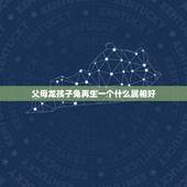 父母龙孩子兔再生一个什么属相好，属龙和属兔生什么属相孩子好