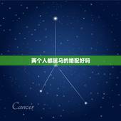 两个人都属马的婚配好吗，属马与属马的婚配怎么样