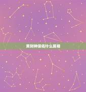 黄财神保佑什么属相，黄财神适合属狗佩戴吗