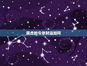 属虎的今年财运如何，2022年12生肖运势解析