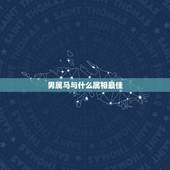 男属马与什么属相最佳，1990年属马男是什么命？最配什么属相