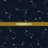 牛生肖运势2022，2022年12生肖运势解析