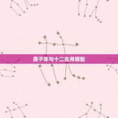 庚子年与十二生肖婚配，历年十二生肖五行表