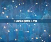 35虚岁属相是什么生肖，三十五岁属什么生肖