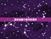 属鼠去哪个城市发展好，哪个城市适合发展