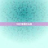 1987年是什么命，1987年是什么命五行属什么