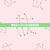 猪年生人2022年运势及运程，2022年最旺的生肖