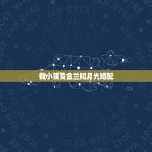 我小姨黄金兰和月光婚配，棕绿黄金兰是多大的电阻
