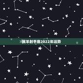 属羊射手座2022年运势，射手座2022运势星座运程