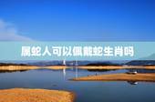 属蛇人可以佩戴蛇生肖吗，天珠和佩戴生肖忌讳
