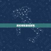 属蛇婚配最佳属相，属蛇的属相婚配表