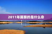 2011年属猴的是什么命，2022 年属猪的是什么命