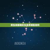 男生肖猴和女生肖羊婚配如何，属猴的人和哪些属相相配比较好