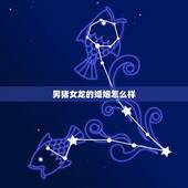 男猪女龙的婚姻怎么样，59年男猪与64年女龙婚配吗