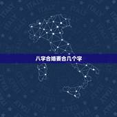 八字合婚要合几个字，八字合婚合六个字好些还是合七个字好些？我只知道据说