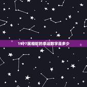 1977属相蛇的幸运数字是多少，1977年属蛇的五月生人幸运数字