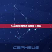 16年属猴的女孩适合什么名字，2022 猴女孩高雅有涵养的名字