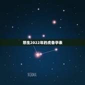 想生2022年的虎备孕表，想生虎宝宝几月备孕