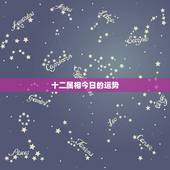 十二属相今日的运势，十二生肖运势查询？