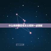 什么样的微信名女士招财一点属蛇，属蛇起微信名怎么写