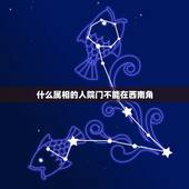 什么属相的人院门不能在西南角，院子门开在西南位置好吗