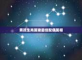 男孩生肖属猪最佳配偶属相，属猪的属相婚配表