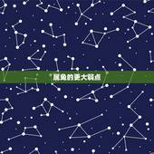 属兔的更大弱点，属兔男喜欢女人的穿着