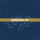 谁会保护双鱼座一辈子 双鱼座的保护星座