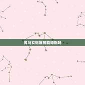 男马女蛇属相能婚配吗，属蛇男跟属马女婚配可以吗