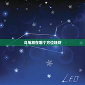 乌龟放在哪个方位旺财，养的乌龟放在家里的什么位置合适