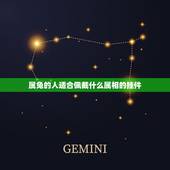 属兔的人适合佩戴什么属相的挂件，生肖兔年出生的人适合戴什么吊坠