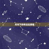 月光下的布达拉原唱，哪个给我推荐一些族歌手和族音乐？