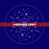 96鼠和95猪是上等婚不，95年属猪女和96年属鼠男结婚？