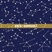 生肖马一生的财运贵人，最有财运的生肖