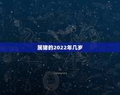 属猪的2022年几岁，属龙2022 年几岁