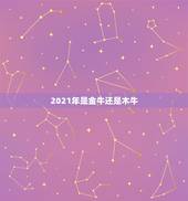 2021年是金牛还是木牛，2021属牛的今年多大