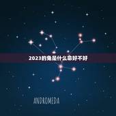 2023的兔是什么命好不好，2023年兔年是什么命