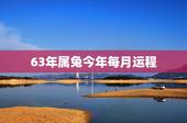 63年属兔今年每月运程，1963年属兔女晚年结局如何