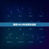 属蛇2023年运势及运程 属蛇2022运势及运程