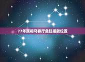 77年属相马客厅鱼缸摆放位置，77年属蛇，客厅南北通透，鱼缸放在那个位