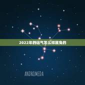 2022年的运气怎么样属兔的，2022年属龙人的运势